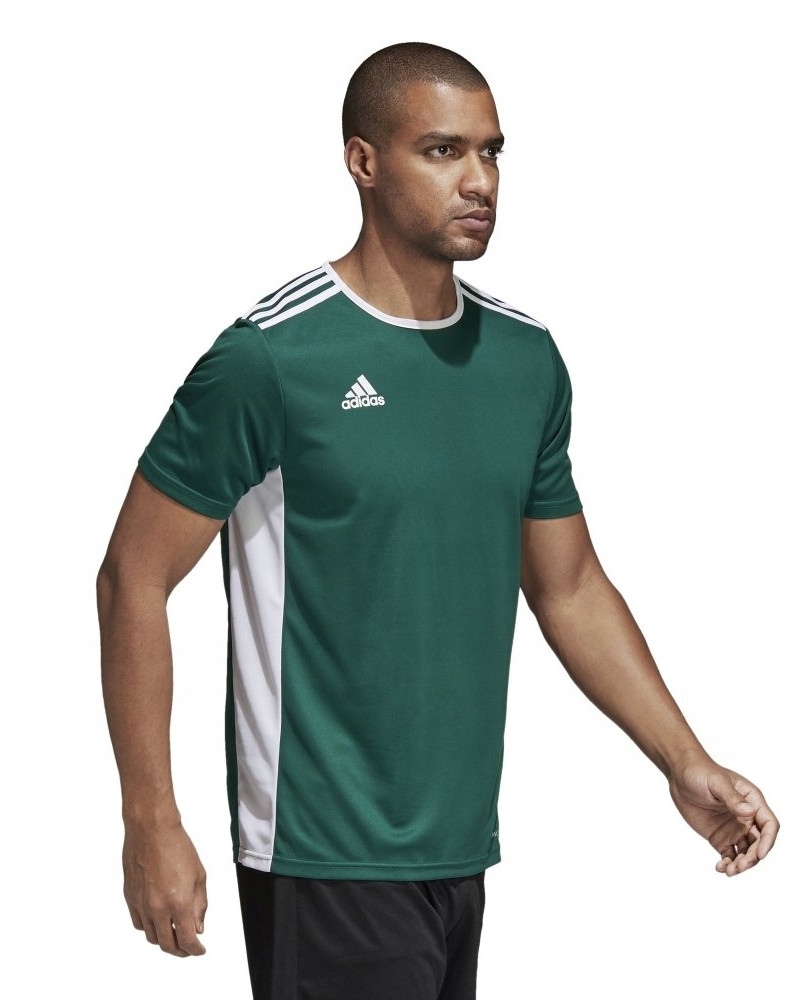  Maglia Calcio jersey UOMO Adidas Verde maniche corte Entrada 18 SS