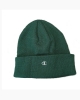 CHAMPION Beanie Woolie Small Logo Unisex Green polyacrylic hat