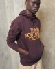 The North Face Standard Hoodie Pullover Fleece Cotton Cave BROWN ALMONDBUTTER