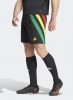 Football shorts Adidas FORTORE 23 AEROREADY Black man